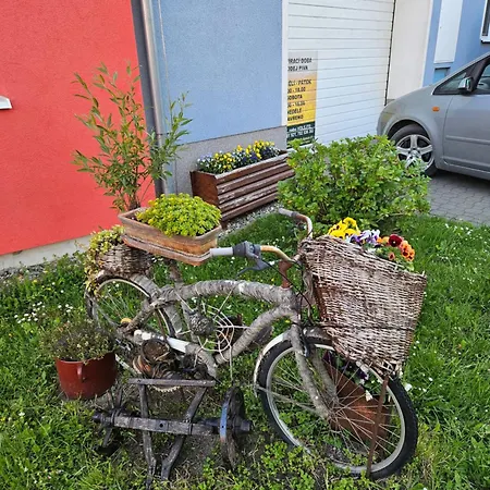 Prázdninový dům Vinny Sklípek Syrovín *